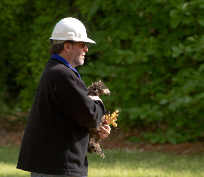 4-21-11 1981 1st chick down.jpg