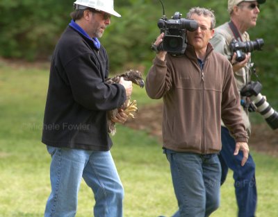 4-21-11 2010 2nd chick down.jpg
