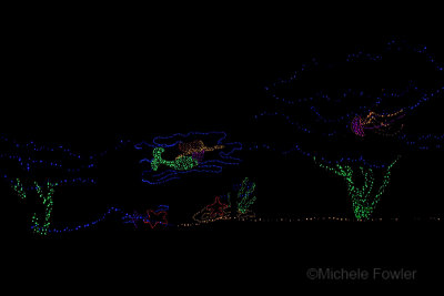 11-20-11-1875 mermaid lights .jpg