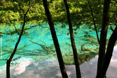 Five Colors Lake in Jiuzhai