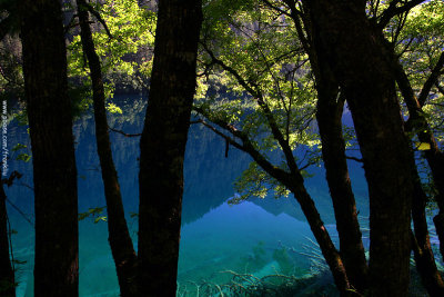 Jade colored lake