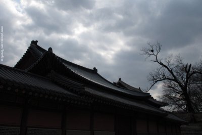 A house in Chang Deok Gung Palace