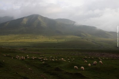 Highland ranch in Qilian Mountain