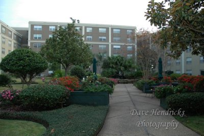 DSC_0017.JPG