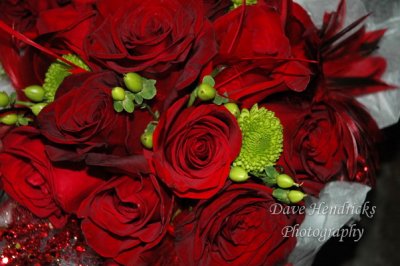DSC_5070.JPG