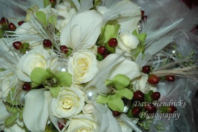 DSC_5072.JPG