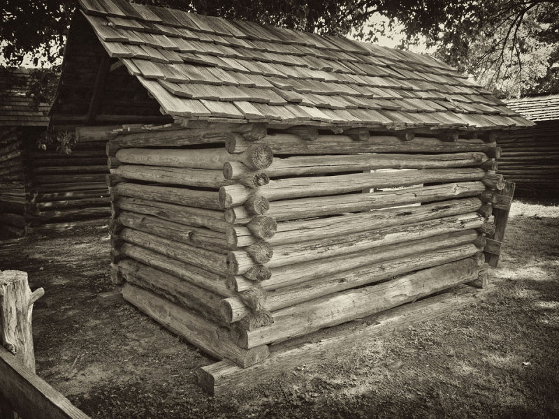 log shed sepia copy.jpg