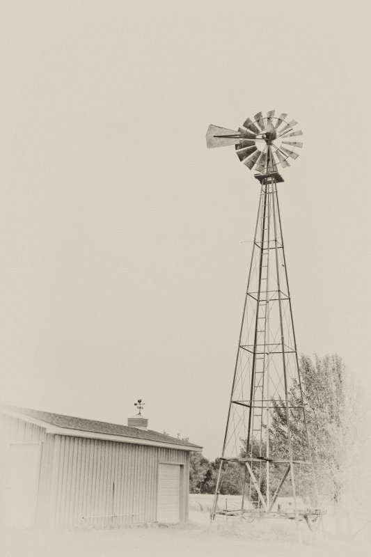 windmill antique copy.jpg