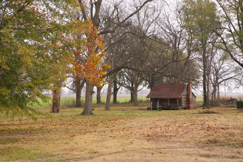 Nitta Yuma cabin copy.jpg