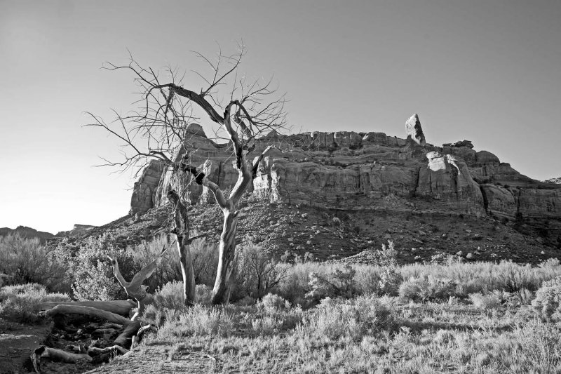 Utah 313 greyscale copy.jpg