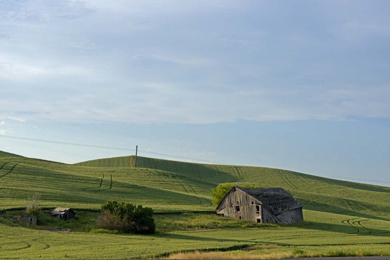 leaning Palouse barn copy.jpg