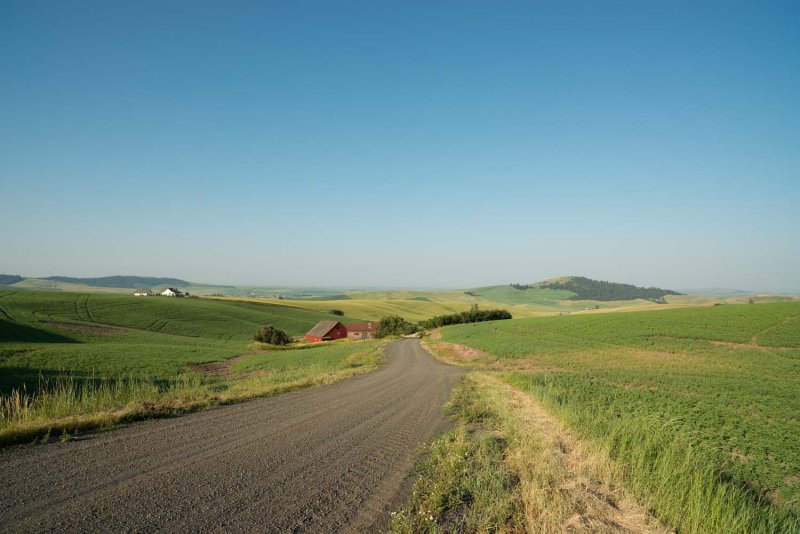 Palouse landscape copy.jpg