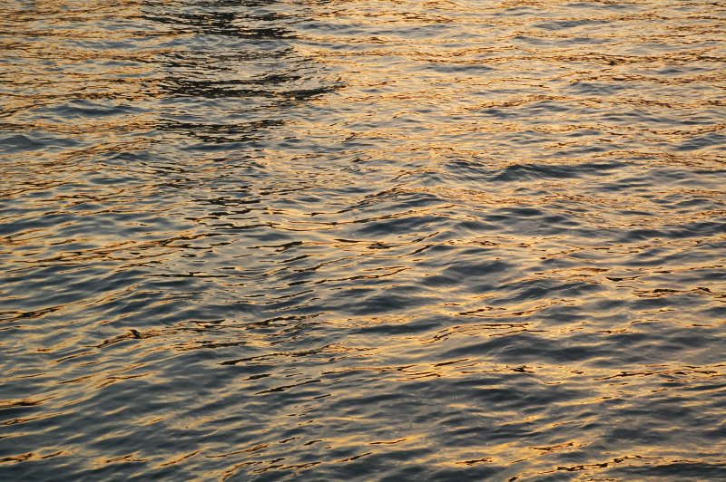 reflections in the water.