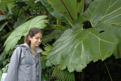 me and a really big leaf