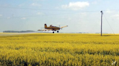 2011_07_19 Quill Lake Spray Plane