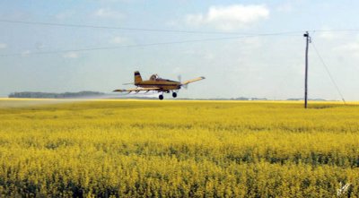 2011_07_19 Quill Lake Spray Plane