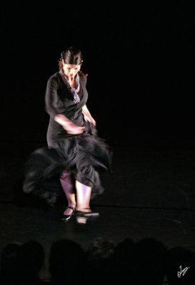 IMG_9347.jpg