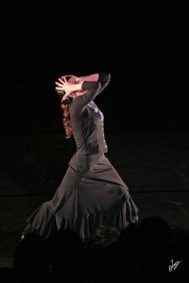 IMG_9351.jpg
