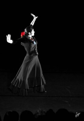 IMG_9889.jpg
