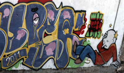 IMG_5376 Graffiti shot from Train to Tigre, Jan 25