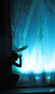 IMG_4371.jpg