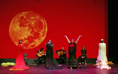 2012_06_03 Flamenco in Vivo