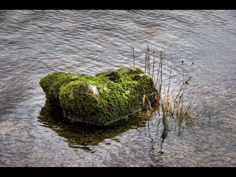 Stone with moss