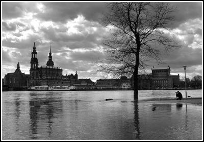 Dresden - Elbe flood: Bellevue Garden