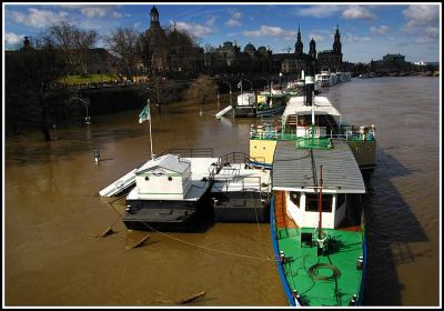 Dresden - Elbe flood: Steamship quay