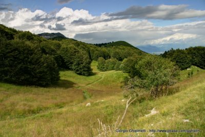 Sentiero delle malghe - Agosto 2011