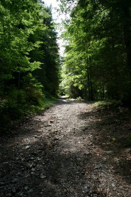 IMG_7083.JPG