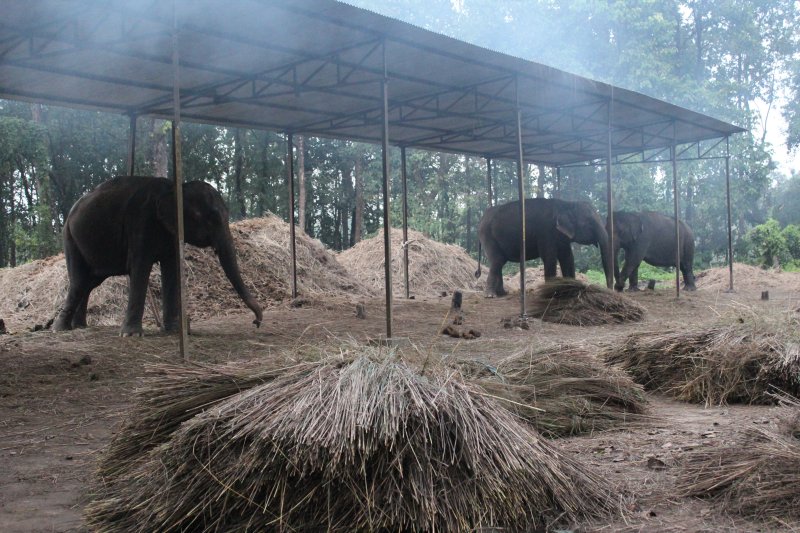 Elephant Stables 3