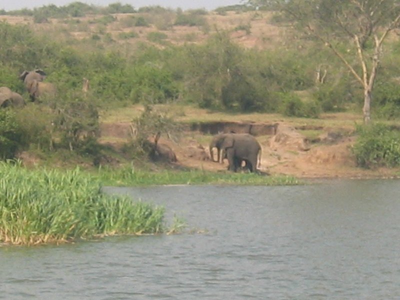 Boatride 13