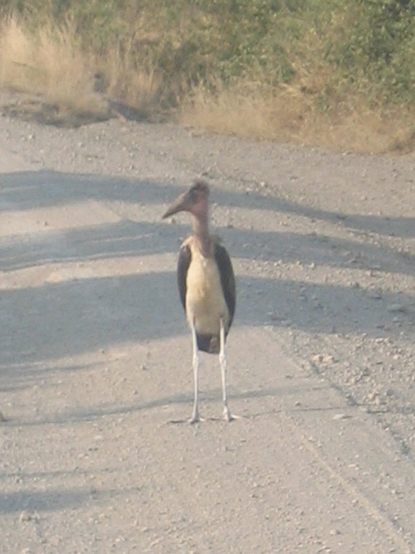 Get out of the way