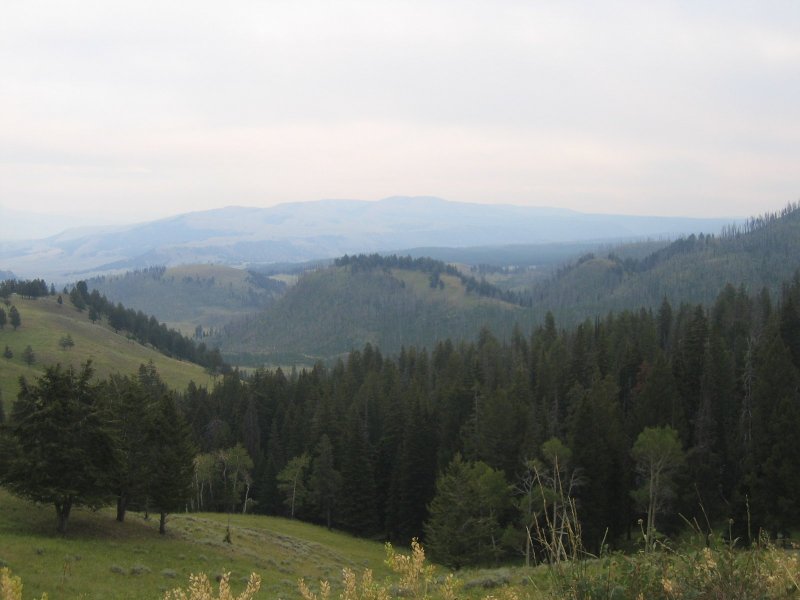 Blacktail Plateau Drive 4