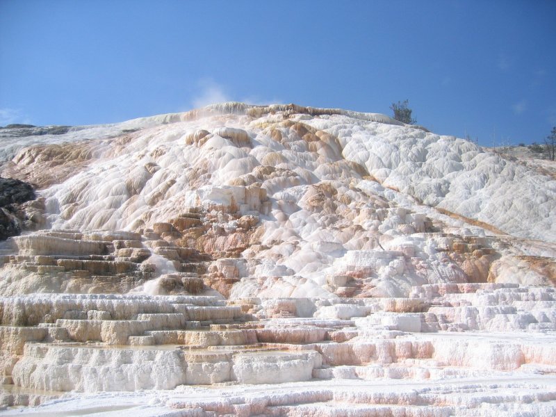 Lower Terrace - Pallette Springs 1