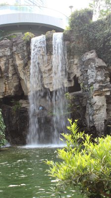 Hong Kong Park 35 - Waterfall