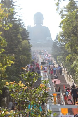 Ngong Ping 27 - Steps to the Buddha