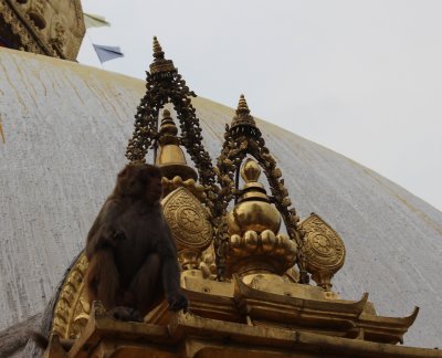 Swayambhunath 16