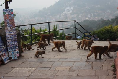 Swayambhunath 19