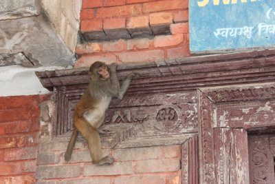 Swayambhunath 21