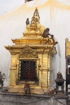 Swayambhunath 24