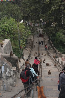 Swayambhunath 40