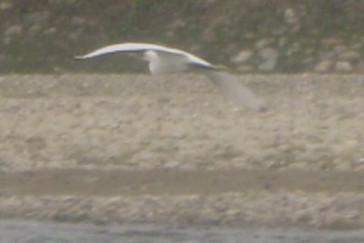 Canoeing 10 - In Flight