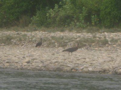 Canoeing 7