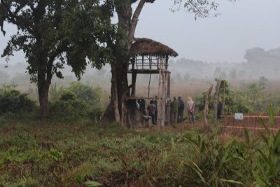 Elephant Ride 1