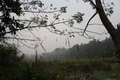 Elephant Ride 12