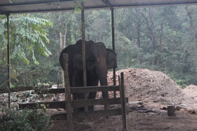 Elephant Stables 1