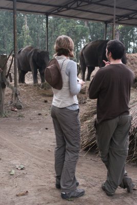 Elephant Stables 11 - Dan and Clare