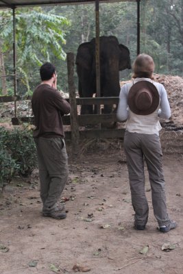 Elephant Stables 12 - Dan and Clare